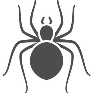 Spinnenschutz