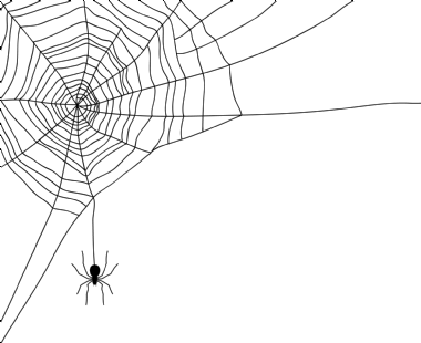 Spinne