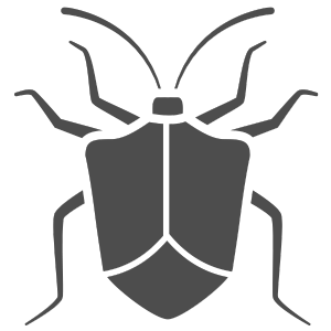 Käfer