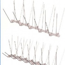Spikes